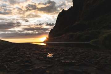 Frangipani sunset on beach