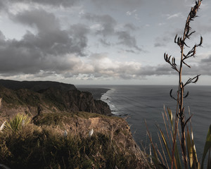 Beach from top of cliff
