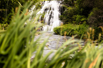 Waterfall in green forest