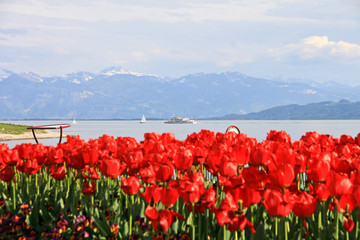 Bodensee