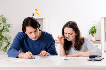Fototapeta premium Young couple in budget planning concept 