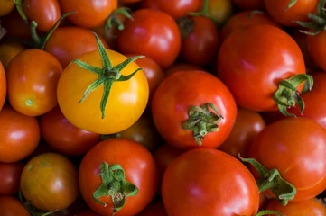 Many ripe red and yellow tomatoes on the wood table. Vegetables. Background