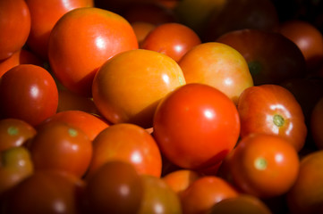 Many ripe red and yellow tomatoes on the wood table. Vegetables. Background