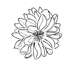 Для Интернета