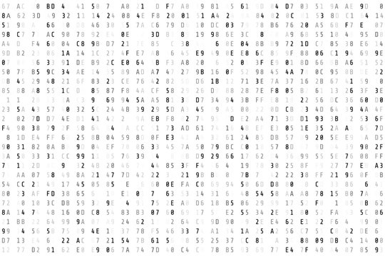 Random  hex code stream. Matrix background. Vector illustration isolated on white background