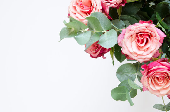 Flowers composition. Roses flowers and branch eucalyptus on white background. Top view, copy space. - Image