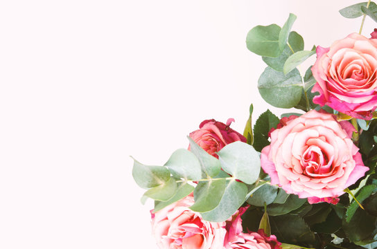 Flowers composition. Roses flowers and branch eucalyptus on white background. Top view, copy space. - Image