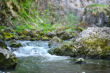 Stream in the forest in Cheile Turzii valley