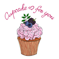 Illustration of a cupcake decorate with pink cream and blueberries, blackberry, isolated on a white background. Vector EPS 10 illustration.