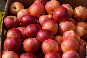 Fototapeta na wymiar Group of fresh red apples available for sale at a street food market