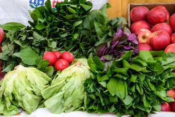 Group of fresh vegetables available for sale at a street food market, salad, wild garlic, radishes in soft focus