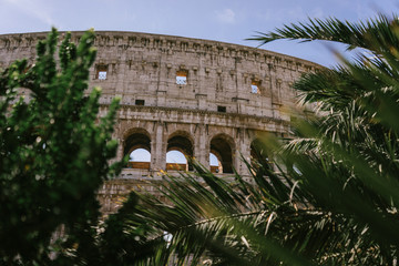 ROME, ITALY - 2018: Colosseum and palm trees