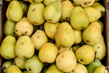 Group of fresh yellow pears available for sale at a street food market