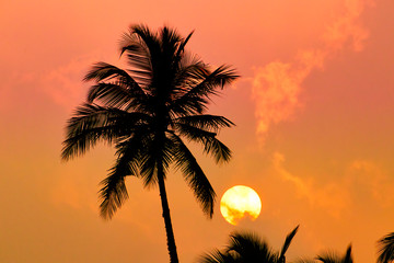 Fototapeta na wymiar more sunset over paradise