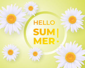 Hello Summer background with daisies