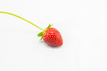 Stawberry on white