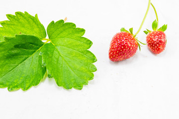 Stawberry on white