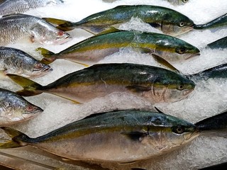  Many fresh sea fish are sold at seafood restaurants.81