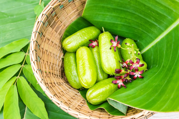 Averrhoa bilimbi fruit
