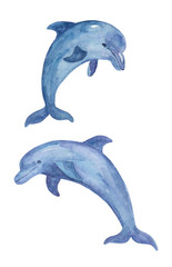 Two watercolor dolphins isolated on white background.