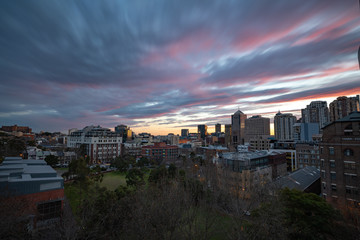 Naklejka premium panorama of sydney at sunset