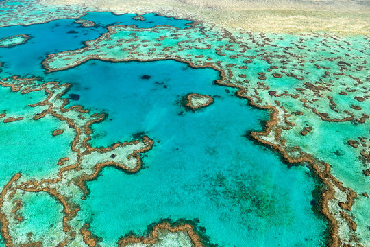 Heart Reef Hardy Reef Whitsunday Island Australia