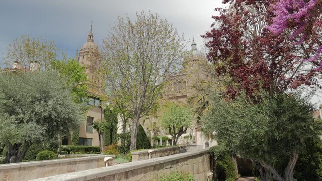 view of the cathedral from the garden of Calisto and Melibea