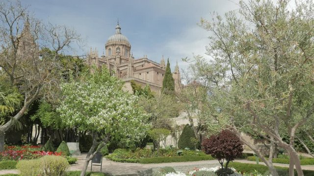 view of the cathedral from the garden of Calisto and Melibea