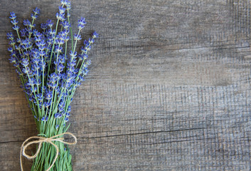 fresh lavender flowers
