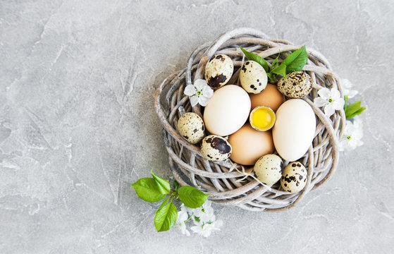 Nest with chicken and quail eggs