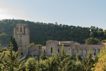 Fototapeta na wymiar The abbey of Lagrasse, France.