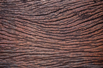 Old plank wood with beautiful texture