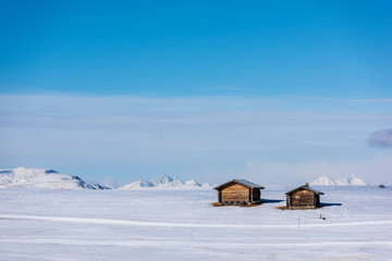 Dream atmosphere and views. Winter on the Alpe di Siusi, Dolomites. Italy