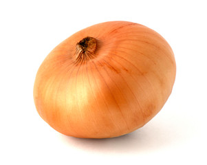 Fat bulb onion