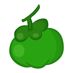 coconut isolated illustration on white background