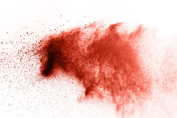 Living coral powder explosion on white background. Colored cloud. Colorful dust explode. Paint Holi.