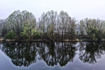Fototapeta na wymiar Bäume spiegeln sich im See bei Nebel Luftbildaufnahme