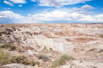 Petrified Forest National Park in Arizona, USA
