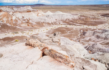 Petrified Forest National Park in Arizona, USA