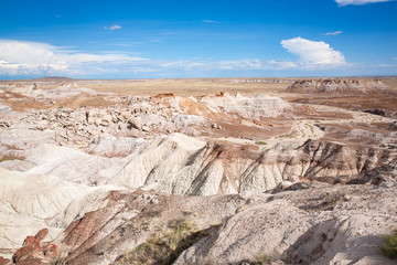 Petrified Forest National Park in Arizona, USA
