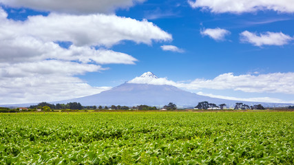 Fototapeta na wymiar volcano Taranaki covered in clouds, New Zealand 
