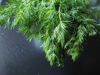 A bunch of green fresh dill on the table
