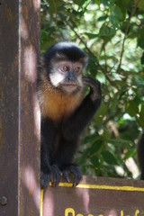 Puerto Iguazu - Argentina