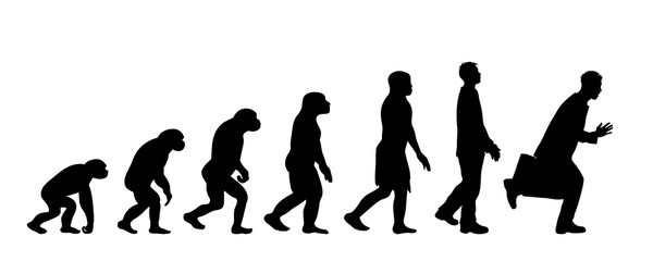 Theory of evolution of man. Vector silhouette of homo sapiens. Symbol from monkey to businessman.