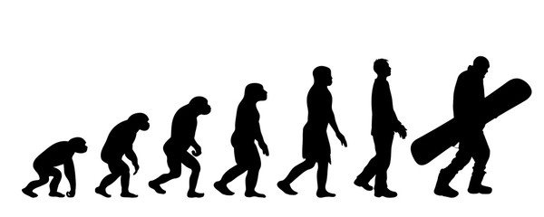 Theory of evolution of man. Vector silhouette of homo sapiens. Symbol from monkey to snowboarder.