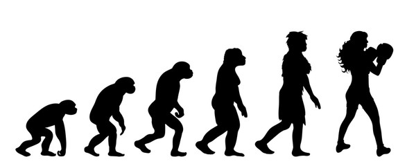 Theory of evolution of woman. Vector silhouette of homo sapiens. Symbol from monkey to boxer.