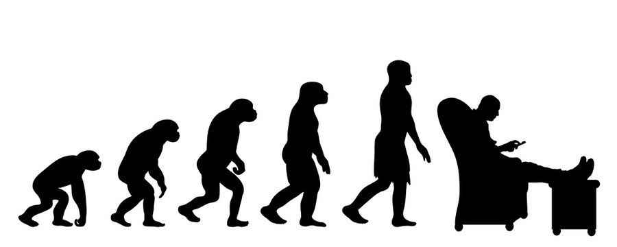 Theory of evolution of woman. Vector silhouette of homo sapiens. Symbol from monkey to watcher TV.