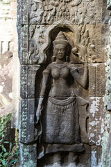 The ancient temple of Ta Prohm , Angkor , Cambodia