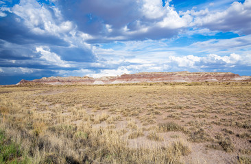 Fototapeta na wymiar Petrified Forest National Park in Arizona, USA