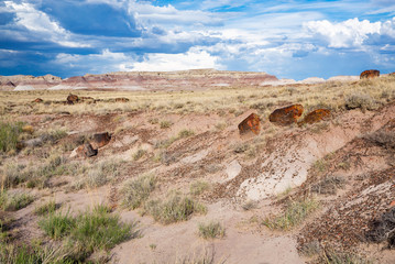 Fototapeta premium Petrified Forest National Park in Arizona, USA